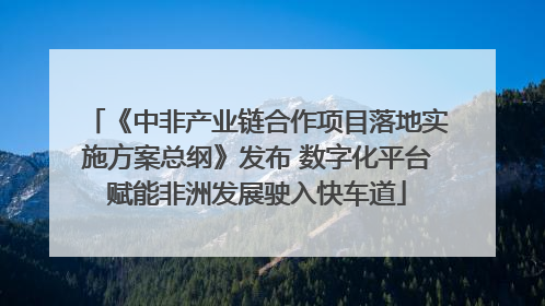 《中非产业链合作项目落地实施方案总纲》发布 数字化平台赋能非洲发展驶入快车道