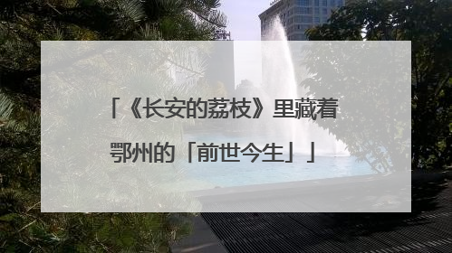 《长安的荔枝》里藏着鄂州的「前世今生」
