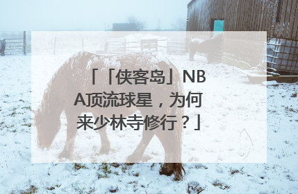 「侠客岛」NBA顶流球星，为何来少林寺修行？