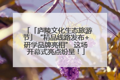 「庐陵文化生态旅游节」“精品线路发布+研学品牌亮相” 这场开幕式亮点纷呈！