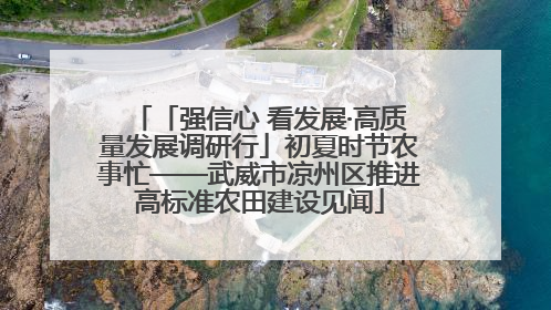 「强信心 看发展·高质量发展调研行」初夏时节农事忙——武威市凉州区推进高标准农田建设见闻