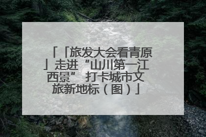 「旅发大会看青原」走进“山川第一江西景” 打卡城市文旅新地标（图）