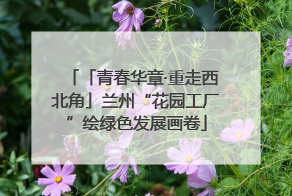 「青春华章·重走西北角」兰州“花园工厂”绘绿色发展画卷