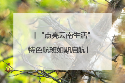 “点亮云南生活”特色航班如期启航