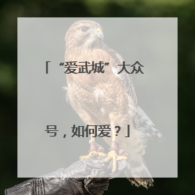 “爱武城”大众号，如何爱？