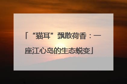 “猫耳”飘散荷香：一座江心岛的生态蜕变