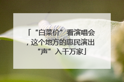 “白菜价”看演唱会，这个地方的惠民演出“声”入千万家
