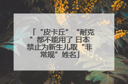 “皮卡丘”“耐克”都不能用了 日本禁止为新生儿取“非常规”姓名