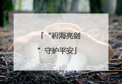 “碧海亮剑”守护平安