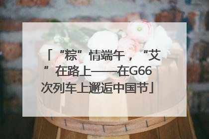 “粽”情端午，“艾”在路上——在G66次列车上邂逅中国节
