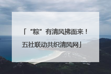 “粽”有清风拂面来！五社联动共织清风网