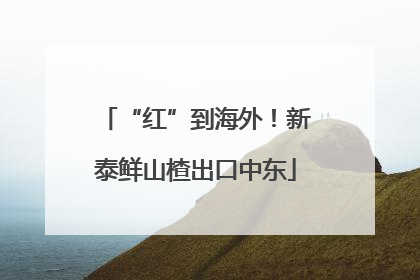 “红”到海外！新泰鲜山楂出口中东