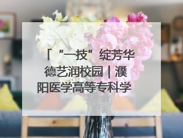 “一技”绽芳华 德艺润校园｜濮阳医学高等专科学校开展丰富多彩的职业教育活动周主题活动