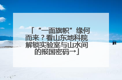 “一面旗帜”缘何而来？看山东地科院解锁实验室与山水间的报国密码→