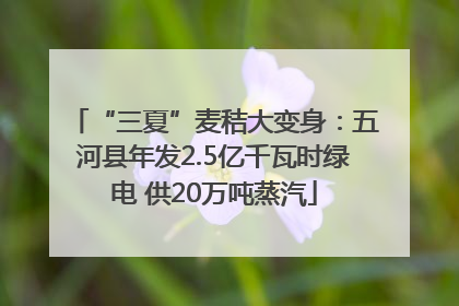 “三夏”麦秸大变身：五河县年发2.5亿千瓦时绿电 供20万吨蒸汽