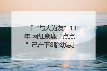 “与人为友”13年 网红麋鹿“点点”已产下8胎幼崽