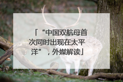“中国双航母首次同时出现在太平洋”，外媒解读