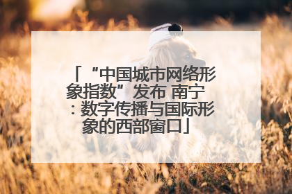 “中国城市网络形象指数”发布 南宁：数字传播与国际形象的西部窗口