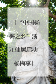 “中国杨梅之乡”浙江仙居启动杨梅季