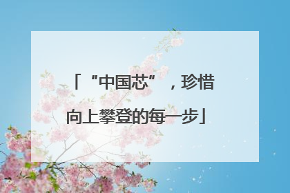 “中国芯”，珍惜向上攀登的每一步