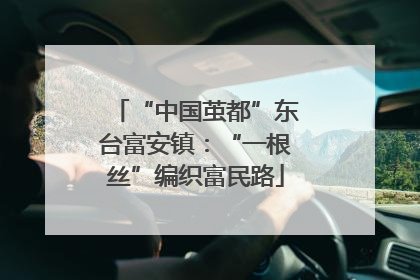 “中国茧都”东台富安镇：“一根丝”编织富民路