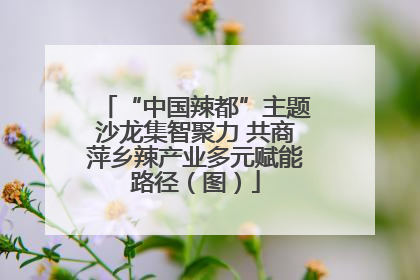 “中国辣都”主题沙龙集智聚力 共商萍乡辣产业多元赋能路径（图）