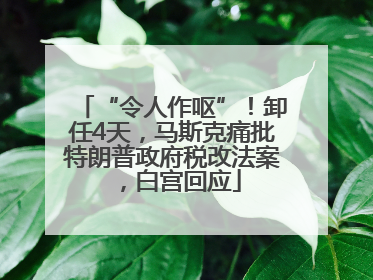 “令人作呕”！卸任4天，马斯克痛批特朗普政府税改法案，白宫回应