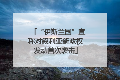 “伊斯兰国”宣称对叙利亚新政权发动首次袭击