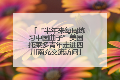 “半年来每周练习中国曲子”美国托莱多青年走进四川南充交流访问