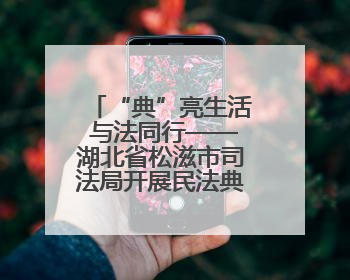 “典”亮生活 与法同行——湖北省松滋市司法局开展民法典宣传系列活动