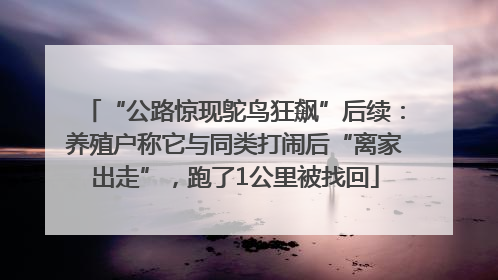 “公路惊现鸵鸟狂飙”后续：养殖户称它与同类打闹后“离家出走”，跑了1公里被找回