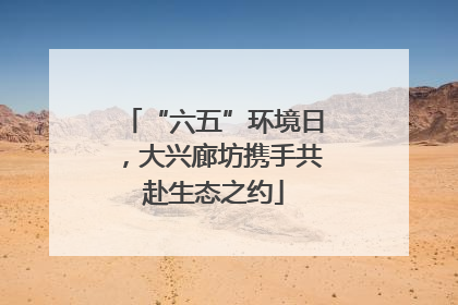 “六五”环境日，大兴廊坊携手共赴生态之约