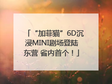 “加菲猫”6D沉浸MINI剧场登陆东营 省内首个！
