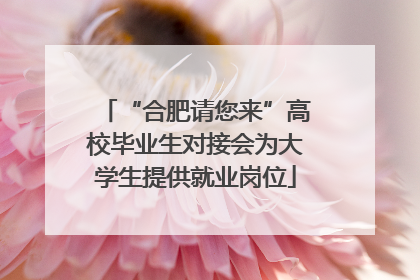 “合肥请您来”高校毕业生对接会为大学生提供就业岗位