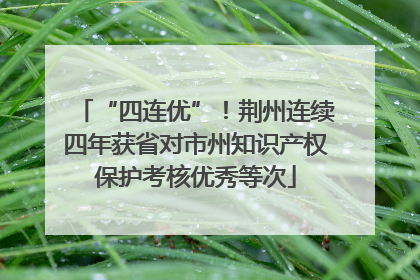 “四连优”！荆州连续四年获省对市州知识产权保护考核优秀等次