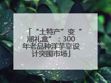 “土特产”变“潮礼盒”：300年老品种洋芋靠设计突围市场