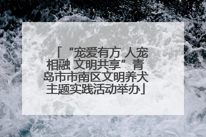 “宠爱有方 人宠相融 文明共享”青岛市市南区文明养犬主题实践活动举办