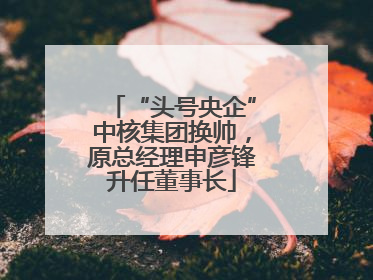 “头号央企”中核集团换帅，原总经理申彦锋升任董事长