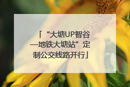 “大塘UP智谷—地铁大塘站”定制公交线路开行