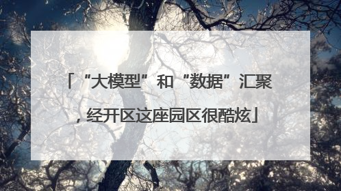 “大模型”和“数据”汇聚，经开区这座园区很酷炫