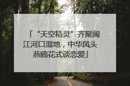 “天空精灵”齐聚闽江河口湿地，中华凤头燕鸥花式谈恋爱