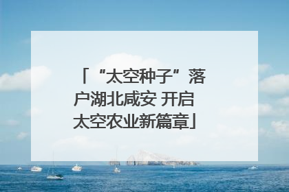 “太空种子”落户湖北咸安 开启太空农业新篇章