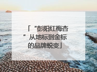 “彭阳红梅杏”从地标到金标的品牌蜕变