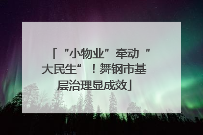 “小物业”牵动“大民生”！舞钢市基层治理显成效