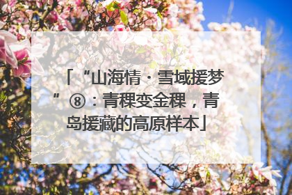 “山海情・雪域援梦”⑧：青稞变金稞，青岛援藏的高原样本