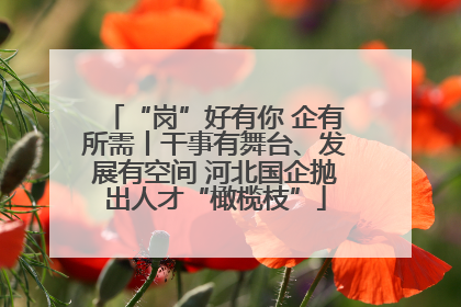 “岗”好有你 企有所需丨干事有舞台、发展有空间 河北国企抛出人才“橄榄枝”