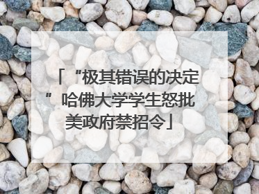 “极其错误的决定”哈佛大学学生怒批美政府禁招令