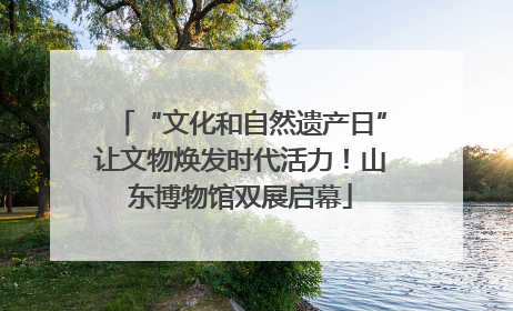 “文化和自然遗产日”让文物焕发时代活力！山东博物馆双展启幕