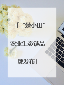 “楚小田”农业生态链品牌发布