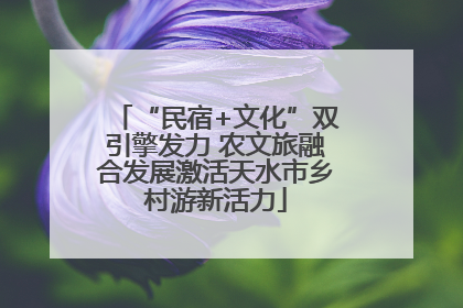 “民宿+文化”双引擎发力 农文旅融合发展激活天水市乡村游新活力